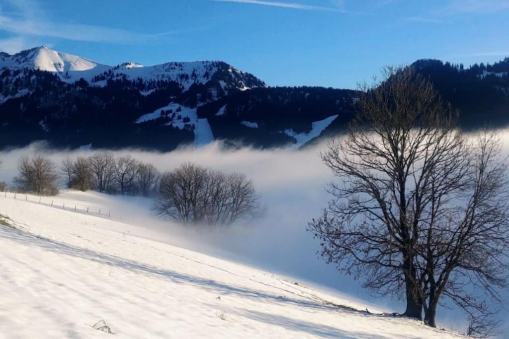 Jolie Vue Au Calme Leilighet Évian-les-Bains Eksteriør bilde